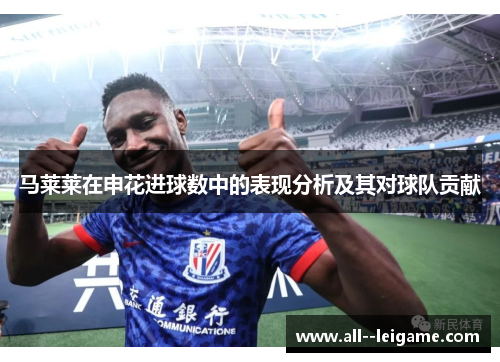 马莱莱在申花进球数中的表现分析及其对球队贡献